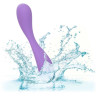 Calexotics - Contour Demi-Violet